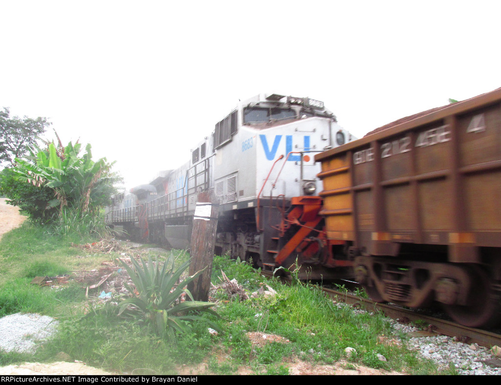 VLI 8683